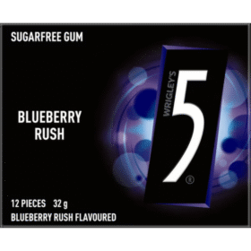 5 GUM BLUEBERRY Sugarfree Chewing Gum 32 g (10 Per Outer)