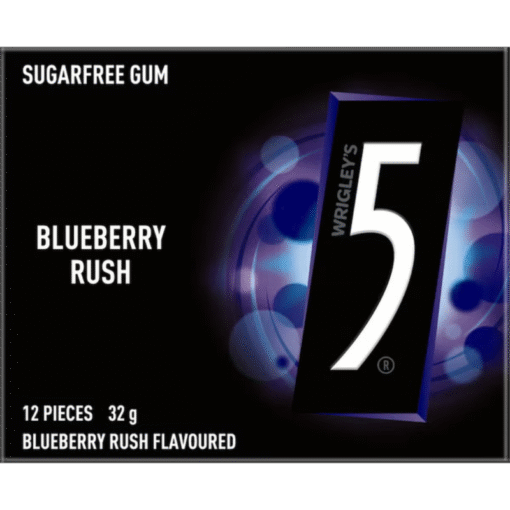 5 GUM BLUEBERRY Sugarfree Chewing Gum 32 g (10 Per Outer)