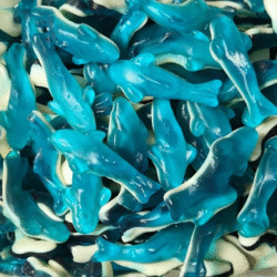 Geneva Blue Sharks 2kg (1 Per Outer)