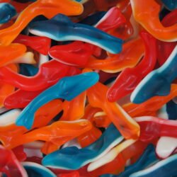 Damel Assorted Sharks 2kg (1 Per Outer)