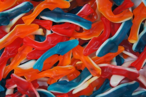 Damel Assorted Sharks 2kg (1 Per Outer)