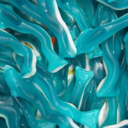 Damel Gummy XL Dolphins 2kg (1 Per Outer)