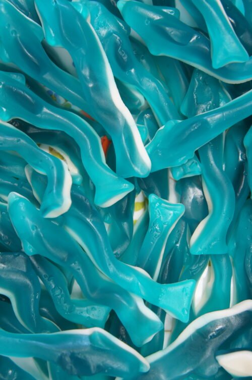 Damel Gummy XL Dolphins 2kg (1 Per Outer)