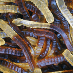 Geneva Cola Worms 2kg (1 Per Outer)