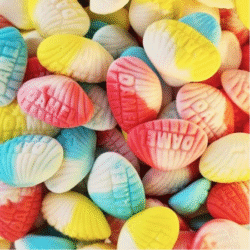 Damel Assorted Shells 2kg (1 Per Outer)