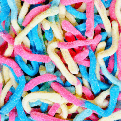 Geneva Sour Snakes 2kg (1 Per Outer)